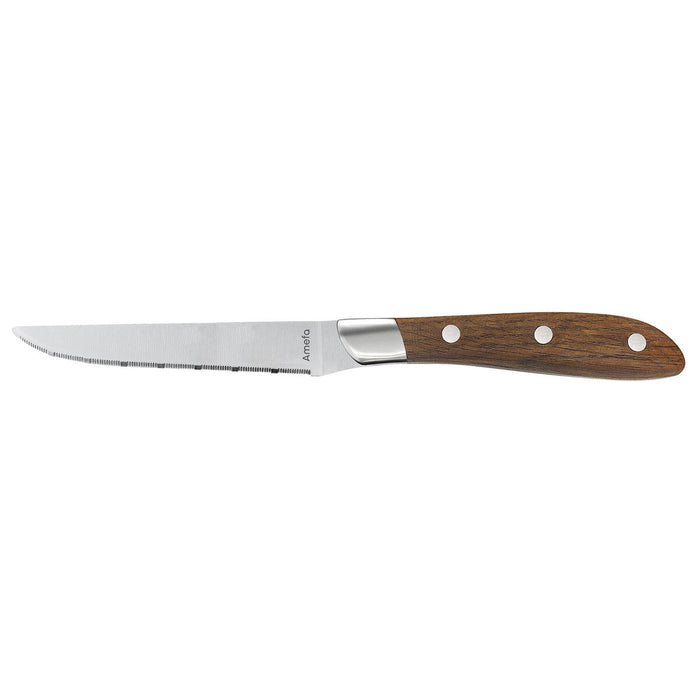 Meat knife Set Amefa Achille Two-tone Metal 23 x 2.4 x 1.5 cm